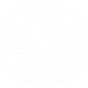 Essauira Horse Paradise